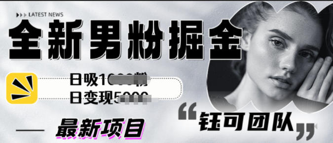 全新男粉掘金思路日吸粉100+日变现1k+-智云网
