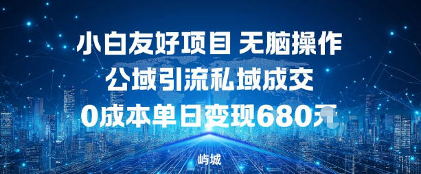 小白友好项目,无脑操作,公域引流私域成交,0成本单日变现680米-智云网