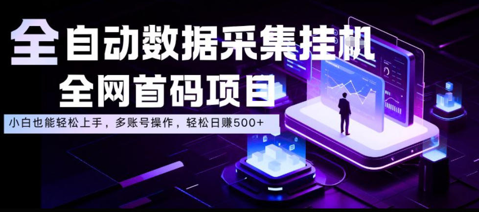 全自动数据采集挂G，全网首码项目，简单易操作，小白也能轻松上手，多账号操作，轻松日入500+【揭秘】-智云网