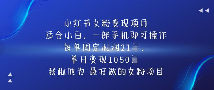 小红书女粉变现项目，单日变现1k+，最好做的女粉项目-智云网