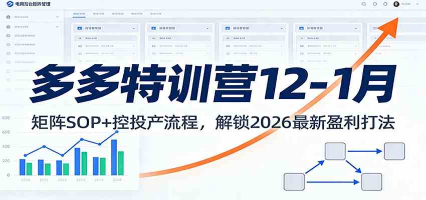 多多特训营12-1月:矩阵SOP+ 控投产流程,解锁2026最新盈利打法-智云网