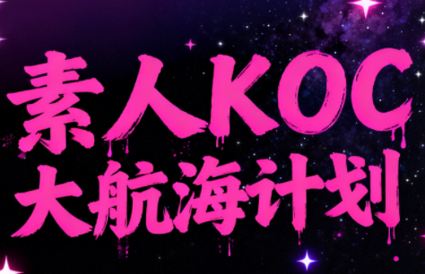 超萌素人KOC大航海计划-智云网