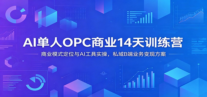 AI单人OPC商业14天训练营：商业模式定位与AI工具实操，私域B端业务变现方案-智云网