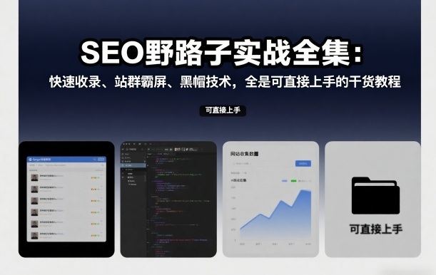 SEO野路子实战全集:快速收录、站群霸屏、黑帽技术,全是可直接上手的干货教程-智云网