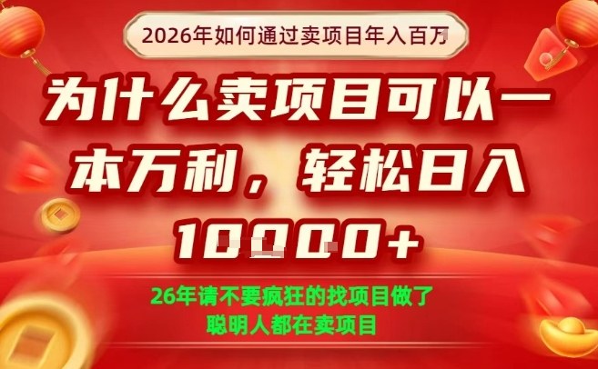 一单净利润1K+，26年想年入100个W，死磕卖项目就够了【揭秘】-智云网