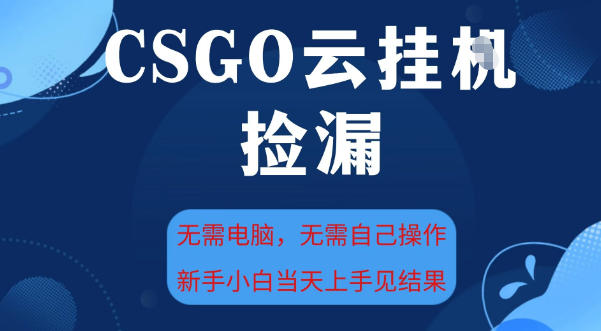 CSGO云挂G全自动捡漏，最新独家玩法，无需电脑操作，新手小白日入5张+【揭秘】-智云网