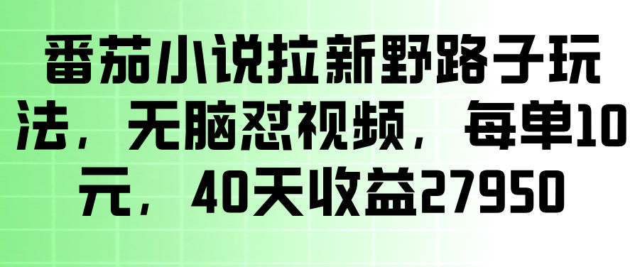 番茄小说拉新野路子玩法，无脑怼视频，玩法简单、见效快，每单10米，40天收益27950-智云网