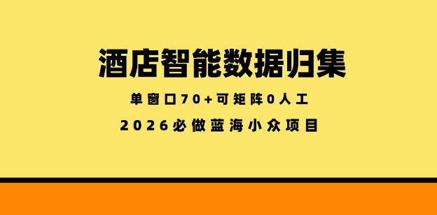 酒店智能数据归集，小众蓝海已经稳定半年之久，单窗口70+零成本矩阵开干【揭秘】-智云网