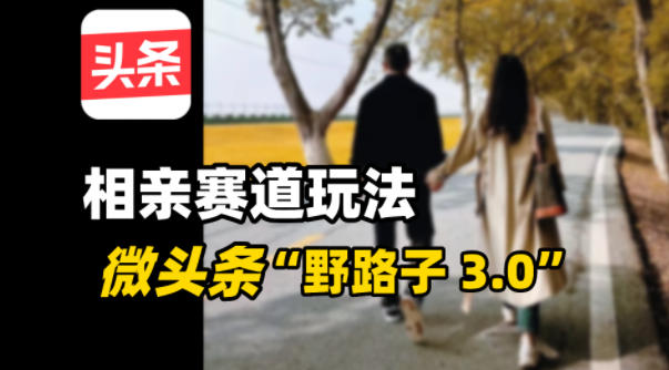 微头条“野路子3.0”相亲赛道玩法,搬砖式操作单号稳定3张-智云网