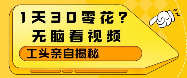 1天30零花？无脑看视频，大佬亲自揭秘-智云网