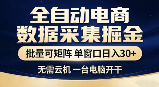 独家电商数据全自动采集项目，批量可矩阵，单窗口轻松日入3张+【揭秘】-智云网