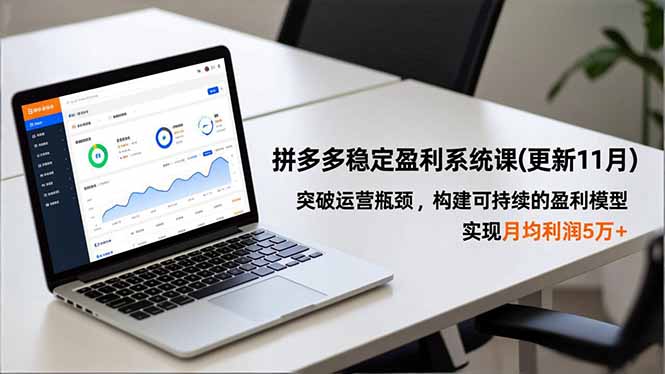 拼多多稳定盈利系统课(更新11月-智云网