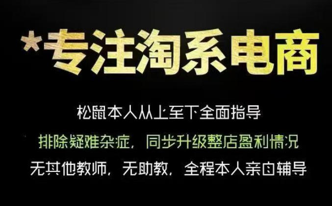 松鼠会电商VIP课程，从基础布局到高阶优化，助你掌握淘宝运营逻辑，提升店铺流量与转化-智云网